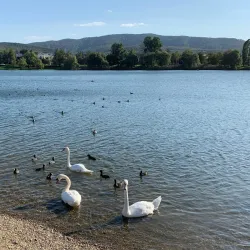 Central Park of Culture and Rest - Goryachiy Klyuch