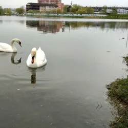 Central Park of Culture and Rest - Goryachiy Klyuch