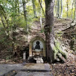 Forest Park - Goryachiy Klyuch