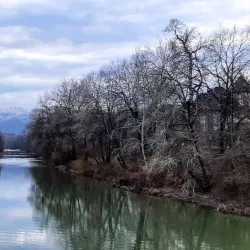 Forest Park - Goryachiy Klyuch