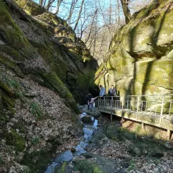 Forest Park - Goryachiy Klyuch