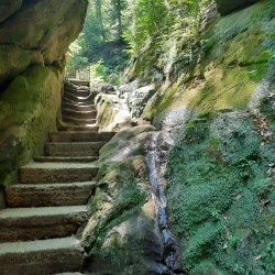 Forest Park - Goryachiy Klyuch