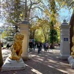 Forest Park - Goryachiy Klyuch