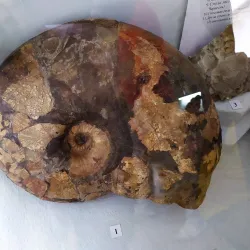 Goryachiy Klyuch Museum of Local Lore - Goryachiy Klyuch