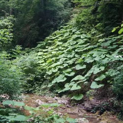 Goryachiy Klyuch Waterfall - Goryachiy Klyuch
