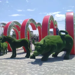 Grozny Central Park - Grozny