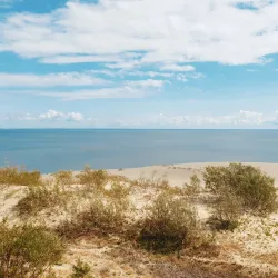 Surrounding Countryside and Nature Trails - Gusev