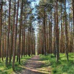 Surrounding Countryside and Nature Trails - Gusev