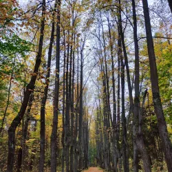 Central Park of Culture and Rest - Ivanovo