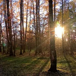 Central Park of Culture and Rest - Ivanovo