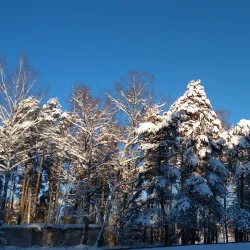 Central Park of Culture and Rest - Ivanovo