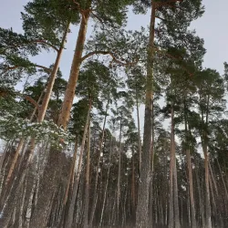 Central Park of Culture and Rest - Ivanovo