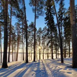 Central Park of Culture and Leisure - Izhevsk