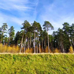 Central Park of Culture and Leisure - Izhevsk