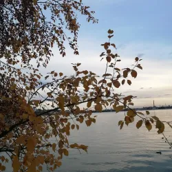 Izhevsk Pond - Izhevsk