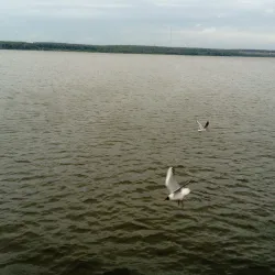 Izhevsk Pond - Izhevsk