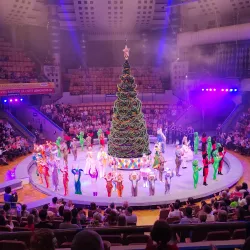 Izhevsk State Circus - Izhevsk