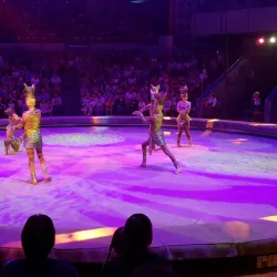 Izhevsk State Circus - Izhevsk