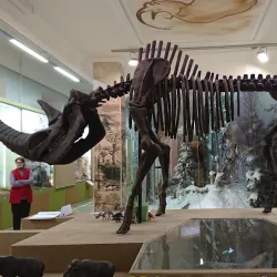 Udmurt National Museum - Izhevsk