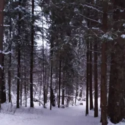 Victory Park - Izhevsk