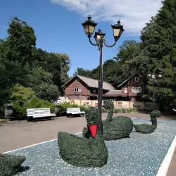 Central Park of Culture and Leisure - Kaliningrad