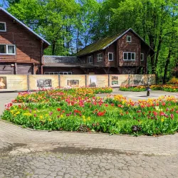 Central Park of Culture and Leisure - Kaliningrad