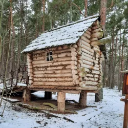 Curonian Spit National Park - Kaliningrad
