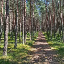 Curonian Spit National Park - Kaliningrad