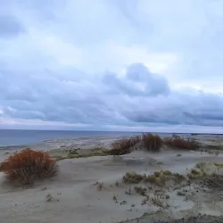 Curonian Spit National Park - Kaliningrad
