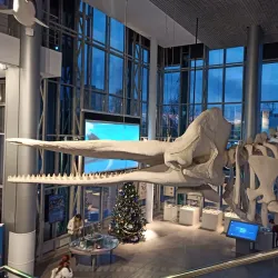 Museum of the World Ocean - Kaliningrad