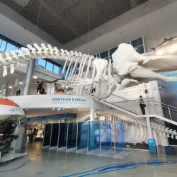 Museum of the World Ocean - Kaliningrad