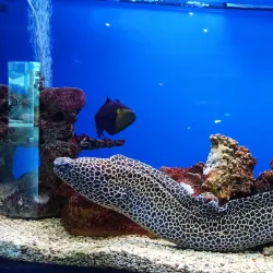 Museum of the World Ocean - Kaliningrad