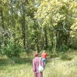 Kamenka Central Park - Kamenka