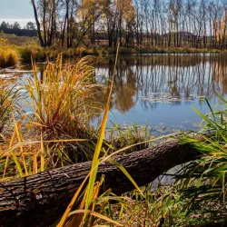 Nature Reserve Trail - Kamenka