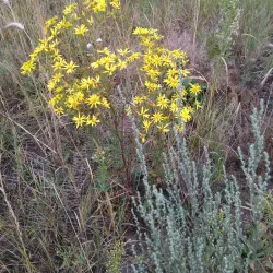 Nature Reserve Trail - Kamenka
