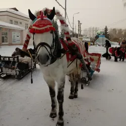 City Central Park - Kamensk-Shakhtinskiy