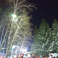 City Central Park - Kamensk-Shakhtinskiy