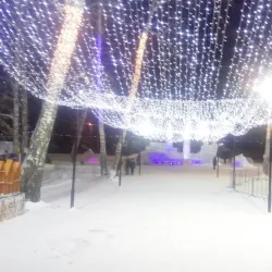 City Central Park - Kamensk-Shakhtinskiy