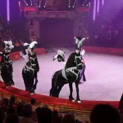 Kemerovo Circus - Kemerovo