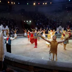 Kemerovo Circus - Kemerovo