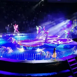 Kemerovo Circus - Kemerovo