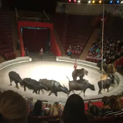 Kemerovo Circus - Kemerovo