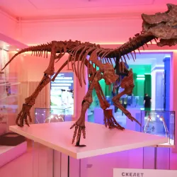 Kemerovo Regional Museum of Local Lore - Kemerovo