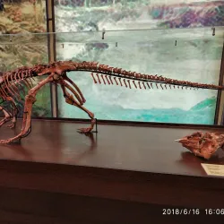 Kemerovo Regional Museum of Local Lore - Kemerovo