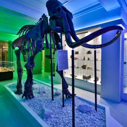 Kemerovo Regional Museum of Local Lore - Kemerovo