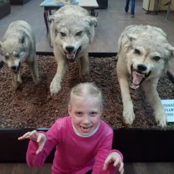 Kemerovo Regional Museum of Local Lore - Kemerovo