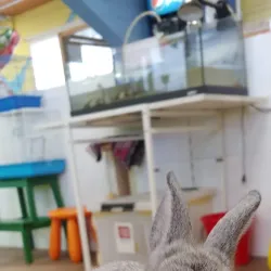 Kemerovo Zoo - Kemerovo