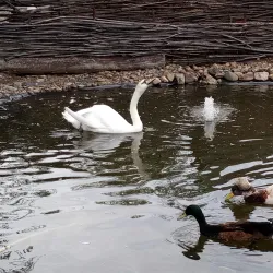 Kemerovo Zoo - Kemerovo