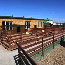 Kemerovo Zoo - Kemerovo