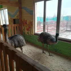 Kemerovo Zoo - Kemerovo